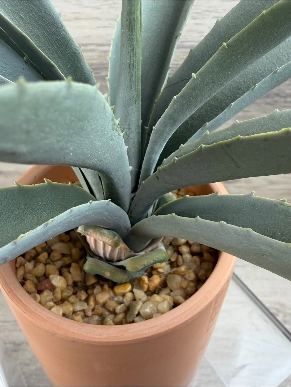 Artificial Faux Fake Blue Agave Plant in Terracotta Pot Desert Bohemian 8” Tall